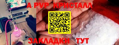 прущие грибы Моздок